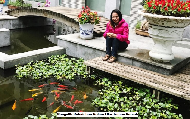 Kolam Hias Taman Rumah