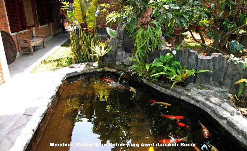 Kolam Ikan Beton